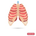 Human lungs behind the thorax color flat icon Royalty Free Stock Photo