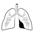 Human lungs black line icon