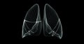 Human lungs breathing in a hologram representation screen 3d