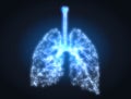 Human lungs with bronchi and pulmonars alveoli, conceptual artwork Royalty Free Stock Photo