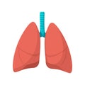Human lungs cartoon icon