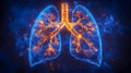 Human lungs with a complex respiratory system structure Royalty Free Stock Photo