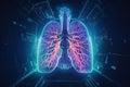 Human lungs. digital cyberspace with futuristic security technology, surrounded by network elements, circuitry patterns Royalty Free Stock Photo