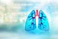 Human lungs Royalty Free Stock Photo