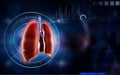 Human lungs Royalty Free Stock Photo