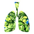 Human lungs with fresh green plant leaves, isolated. World health, Earth Day, environment day and ecology concept. Hand Royalty Free Stock Photo