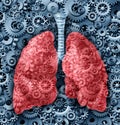 Human lungs Function Royalty Free Stock Photo