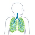 Human lungs. Healthy clean lungs. Bronchial tree. Ecology medicine and health. Healthy lifestyle. Vector illuiostrations