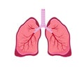 Human lungs icon. Anatomy vector illustration. Royalty Free Stock Photo