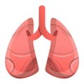 Human lungs icon, cartoon style