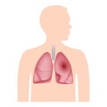 Human lungs icon, realistic style