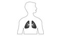 Human Lungs , Lungs Anatomy with arteries and circulatory system