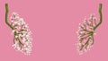 Human lungs made of branches and flowers on a pink background. Concept photo