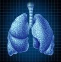 Human lungs organ as a medical symbol Royalty Free Stock Photo