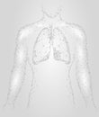 Human Lungs Pulmonary infection Internal Organ. Respiratory system Inside Body Silhouette. Low Poly 3d Connected Dots Triangle Pol