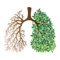 Human lungs. Respiratory system. Healthy lungs. Light in the form of a tree. Line art. Drawing by hand. Medicine.