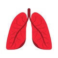 Human lungs. Human respiratory system, internal organ. Human lungs icon, symbol in cartoon style. Healthcare, medicine and anatomy