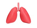 Human Lungs, respiratory system on white isolated background.3d rendering