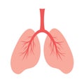Human lungs, schematic color illustration of human lungs with vessels. Anatomical structure of human internal organs Royalty Free Stock Photo