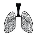 Human lungs, schematic illustration of human lungs with blood vessels. Sketch drawing clipart medicine