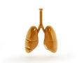 Human Lungs