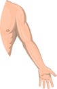 Human male arm left side