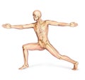 Human male in dynamic posture, with full skeleton superimposed. Royalty Free Stock Photo
