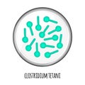 The human microbiome of clostridium tetani in a petri dish. Vector image. Bifidobacteria, lactobacilli. Lactic acid Royalty Free Stock Photo