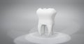 Human molar tooth isolated on light background Royalty Free Stock Photo