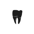 human molar tooth. Vector illustration decorative design Royalty Free Stock Photo