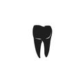 human molar tooth. Vector illustration decorative design Royalty Free Stock Photo