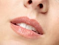 Closeup macro portrait of female part of face. Human woman lips with day beauty makeup Royalty Free Stock Photo