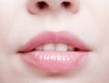 Human mouth and nose. Closeup macro portrait of female part of face. Woman lips with day beauty makeup Royalty Free Stock Photo