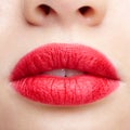 Closeup macro portrait of female part of face. Human woman red lips with day beauty makeup Royalty Free Stock Photo