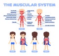 Human Muscular System in Cartoon Style for Children. Beautiful Girl and Study of Muscles for Biology, Anatomy Lesson. Names of