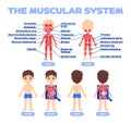 Human Muscular System and Cute Boy in a Cartoon style for School Children. Front Back View. Name of Muscles. Poster for Biology, Royalty Free Stock Photo