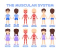 Human Muscular System. Front and Back View in a Flat Cartoon style for Children. Isolated Boy and Girl. The Silhouette of a Kids Royalty Free Stock Photo