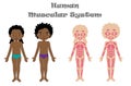 Human muscular system for kids Royalty Free Stock Photo