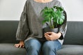 Human and nature, Houseplants growing in living room for indoor air purification and home decorative