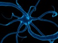 Human nerve cell Royalty Free Stock Photo