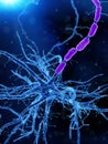 an human nerve cell Royalty Free Stock Photo