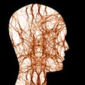 Human nerve system Royalty Free Stock Photo
