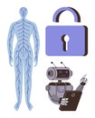 Human nervous system, AI robot using tablet, and lock symbolizing security and technology integration Royalty Free Stock Photo