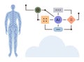 Human Nervous System Connected with Artificial Intelligence Network Diagram and Cloud Technology Royalty Free Stock Photo