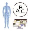 Human Nervous System, Digital Learning Platform, and Alphabet Study Circle Representation Royalty Free Stock Photo
