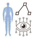 Human Nervous System, Eye Diagram, and Neural Connectivity Visual Concept Royalty Free Stock Photo