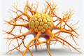 Human Nervous System. Neurons cells close up 3d render on white background. Synapses and axones transmitting electrical signals.