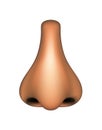 Human nose