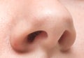 Human nose