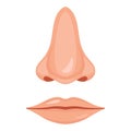 Human nose and mouth